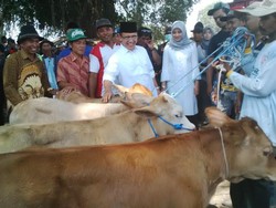 Dhani Azwar Anas: Peran Istri Berpengaruh dengan Prestasi Suami