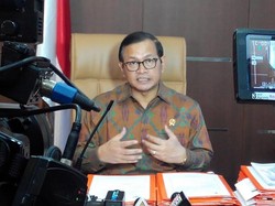 Seskab Tegaskan Tak Ada Perpanjangan Tangan PT Freeport di Istana
