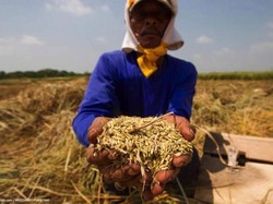 Tips Raden Pardede: Selau Ada Pasang-Surut, Ingat Selalu Kisah Nabi Yusuf