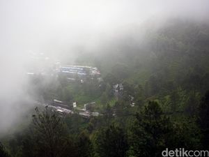 Jalur Puncak Bogor Berkabut, Jarak Pandang Terbatas