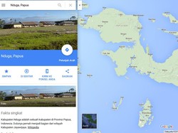 Dinas Kesehatan Papua: Gejala Sebelum Meninggal Demam dan Kejang-kejang