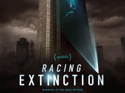 Sedikit Kisah Menyentuh dari Si Hiu Buntung di Racing Extinction