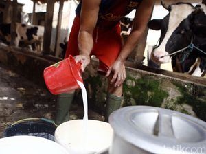 Bocoran Rencana Kerja Sama Timbal Balik Indonesia & China Bocoran Rencana Kerja Sama Timbal Balik Indonesia & China