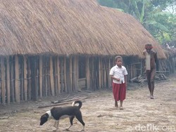 Penyebab Kematian Misterius Puluhan Anak di Papua: Pneumonia