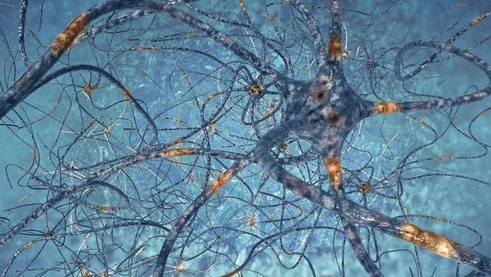 Foto: ilustrasi saraf otak