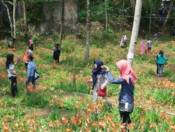 Ada Taman Bunga Fenomenal di Gunungkidul, Tiap Hari Ramai Dikunjungi Warga