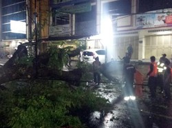 Hujan Disertai Angin Kencang di Sukabumi, Pohon Bertumbangan Melintang di Jalan