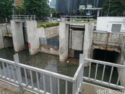 Ikan Mati di Sungai Epicentrum Bisa Sampai 1 Mobil Pikap