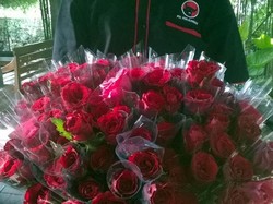 Calon Bupati Sleman Pilih Kampanye Bagikan Kembang