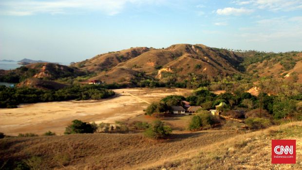 Pemandangan dari puncak bukit di Pulau Rinca