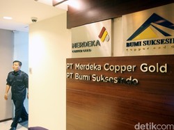 Merdeka Copper Optimistis Dominasi Pasar Mineral Kendaraan Listrik