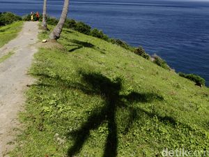 Lansia di Jeneponto Ditemukan Tewas di Kebun, Diduga Tertimpa Buah Kelapa