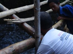 Sawah Tandus Semburkan Air Bikin Heboh, ini Cerita Penjaga ke Warga