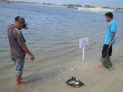 Banyak Ikan Mati, Pengunjung Ancol Diimbau Tak Berenang Dahulu