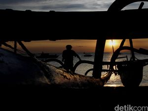 Tangkap Ikan dengan PNBP Pascaproduksi, Pengusaha Wajib Lapor Akurat!