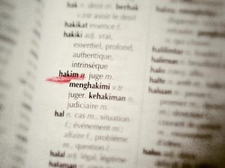 Terlibat Illegal Logging, Anggota TNI Dikenai Hukuman Percobaan