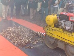 Bareskrim Musnahkan Ratusan Tanduk Rusa dan Cangkang Penyu Hasil Kejahatan