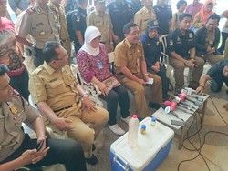 Jutaan Ikan Mati di Ancol, KKP: Teluk Jakarta Terdegradasi