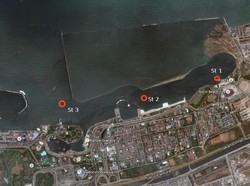 Ini Hasil Uji Lab LIPI Terkait Kasus Jutaan Ikan yang Mati di Pantai Ancol