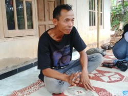 Pengunjung Saling Bully soal Rusaknya Kebun Amarilis, Apa Kata Pemilik?