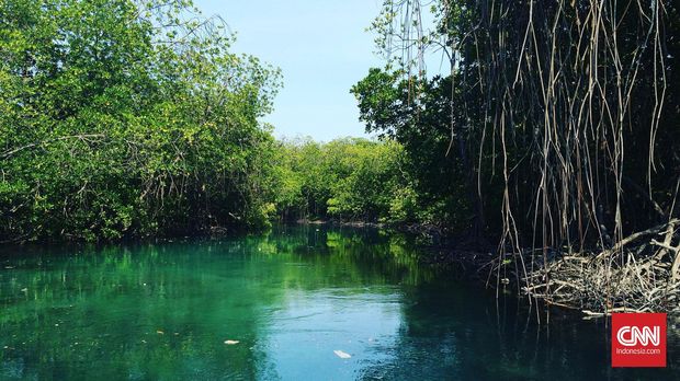 Pulau Sangiang, Banten, destinasi wisata lengkap di tengah Selat Sunda. (CNN Indonesia/Lesthia Kertopati)