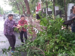 Wali Kota Kediri Blusukan Ikut Bersihkan Pohon Tumbang