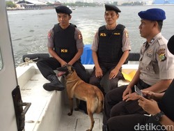 Jelang Natal dan Tahun Baru, Polair Sweeping Kapal Pakai Anjing Pelacak