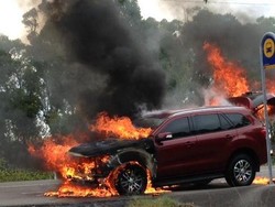 Ford: Everest Terbakar di Australia Karena Sambungan Baterai yang Longgar