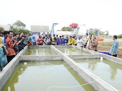 IPM Banyuwangi Terus Meningkat, Capai 67,3 di 2014