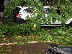 Macet Parah di Kp Melayu Arah Jatinegara, Ada Pohon Tumbang Timpa Mobil