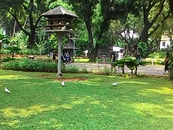 Ahok Sebut Taman Suropati Semrawut, Wali Kota: Penertiban Sudah Berulang Kali