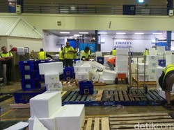 Ikan Tak Laku Jadi Pupuk, Styrofoam Jadi Nampan di Sydney Fish Market