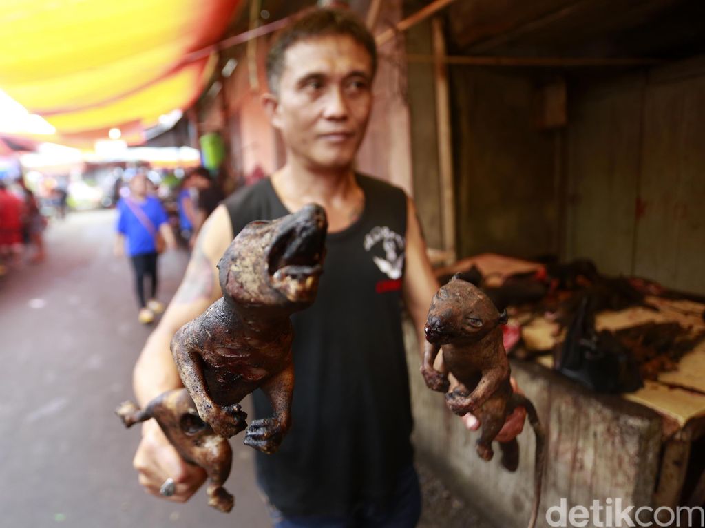 Heboh Soal Kucing, Manado Malah Punya Pasar Kuliner Ekstrem Heboh Soal Kucing, Manado Malah Punya Pasar Kuliner Ekstrem