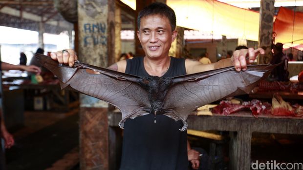 Video Anjing Dibakar Hidup-hidup di RI Jadi Sorotan Internasional