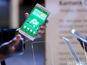 Bius 2 Wanita Setelah Check In di Hotel di Mangga Besar, 2 Pria Gasak HP