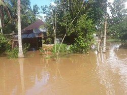 Diterjang Banjir, Pemkab Rokan Hulu Tetapkan Siaga Darurat