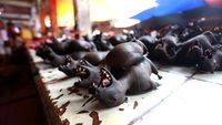 Foto: Anjing Hingga Ular Pun Dimakan di Tomohon