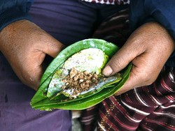 Peneliti Coba Obati Kecanduan Menginang dengan Obat Kecanduan Rokok