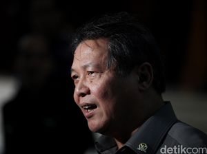 Tafsir Senior PDIP soal Patung Kurus Hidung Panjang, Ungkit Pesan Megawati Tafsir Senior PDIP soal Patung Kurus Hidung Panjang, Ungkit Pesan Megawati