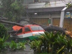 Pohon Beringin Tumbang Menimpa Tiga Mobil di Jamika Bandung