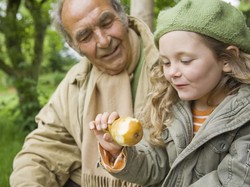 Satu Pir Tiap Hari Bisa Bantu Jaga Berat Badan Tetap Stabil