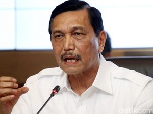 Luhut: Kepala Daerah di Papua Harus Lapor ke Mendagri Kalau Mau Pergi Luhut: Kepala Daerah di Papua Harus Lapor ke Mendagri Kalau Mau Pergi