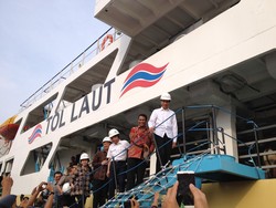 Didampingi Ahok, Jokowi Sambut Kedatangan Ratusan Sapi dari NTT