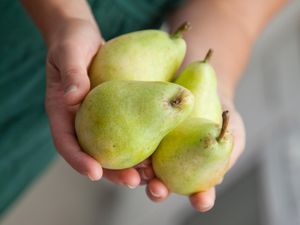 9 Alasan Sehat Buah Pir Harus Ada di Mangkuk Anda