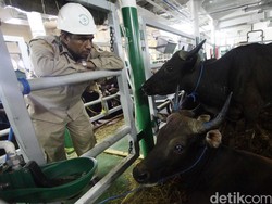 Kementan Akui Sulit Dapat Data Pangan Akurat, Ini Alasannya