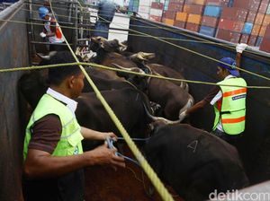 DPR Minta Kementan Bikin Sentra Peternakan Selain Sapi DPR Minta Kementan Bikin Sentra Peternakan Selain Sapi