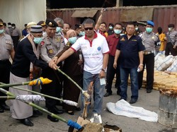 Polda Banten Musnahkan 1,672 Ton Ganja Kering