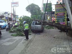 Mobil Tertimpa Pohon di Kelapa Dua Depok, Lalin Macet