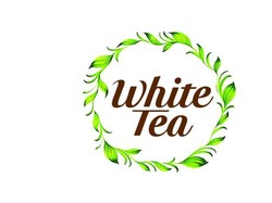 Apa Rahasia di Balik Cita Rasa Unik White tea?