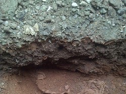 Warga Kebagusan Dihebohkan Penemuan Bungkusan Mirip Pocong